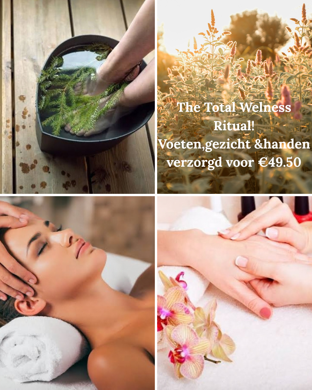 NIEUW: The Total Wellness Ritual